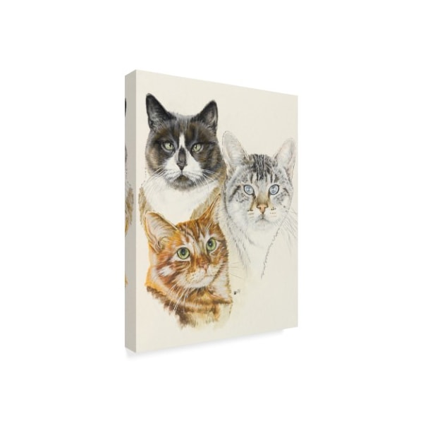 Barbara Keith 'American Shorthair' Canvas Art,18x24